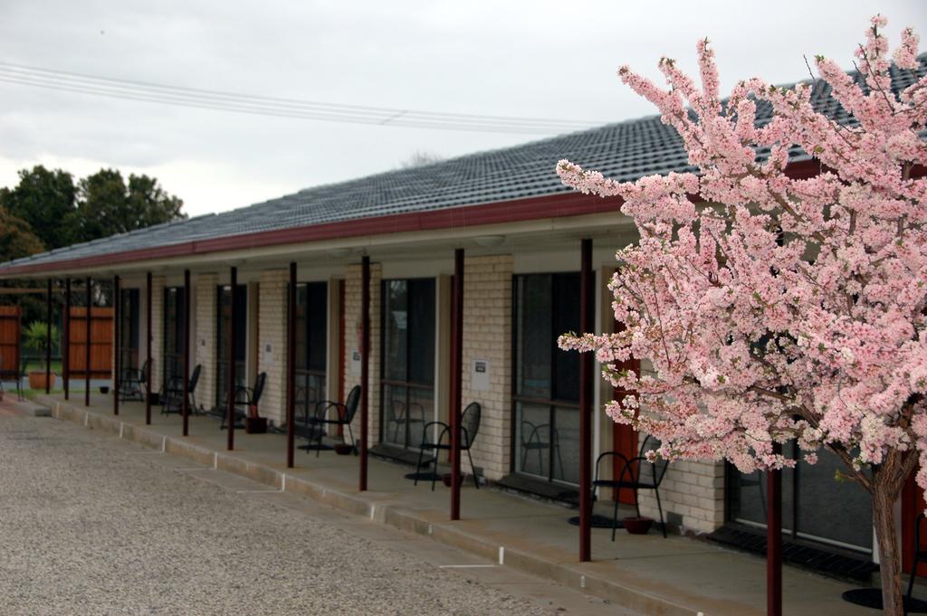 Motel Woongarra Rutherglen Buitenkant foto