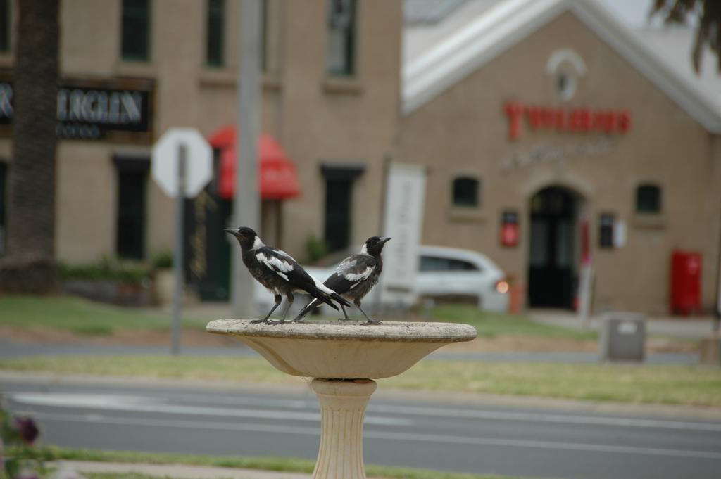 Motel Woongarra Rutherglen Buitenkant foto