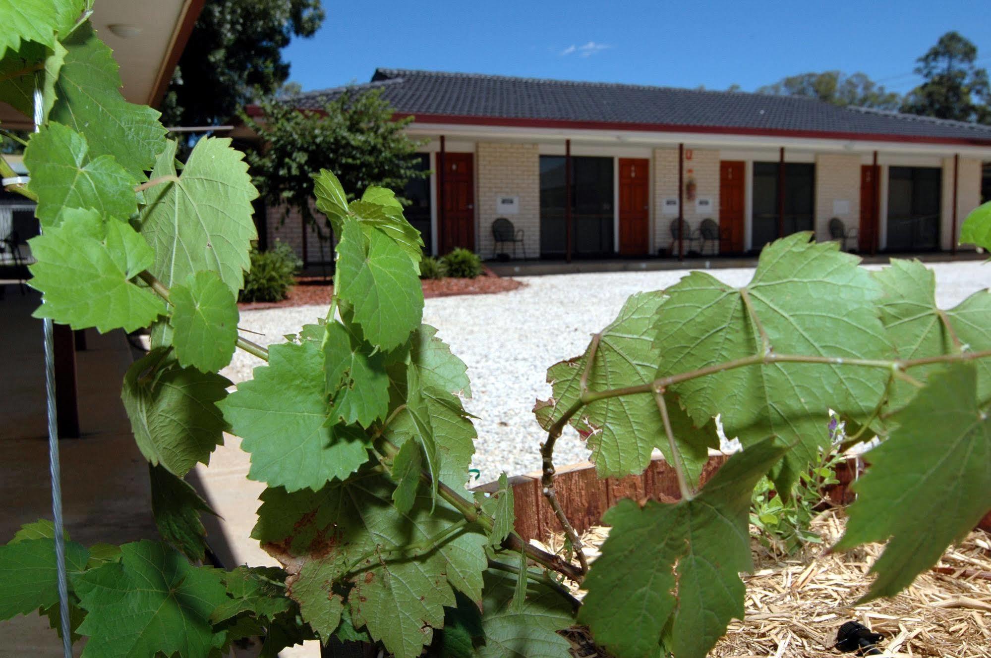 Motel Woongarra Rutherglen Buitenkant foto